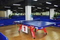 Table tennis room